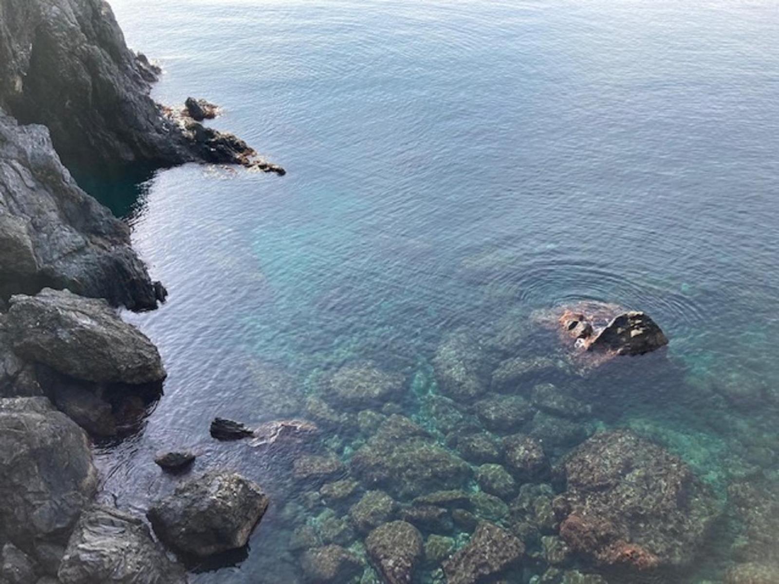 Pippo Cosy Studio Flat With Ac Monterosso al Mare Luaran gambar